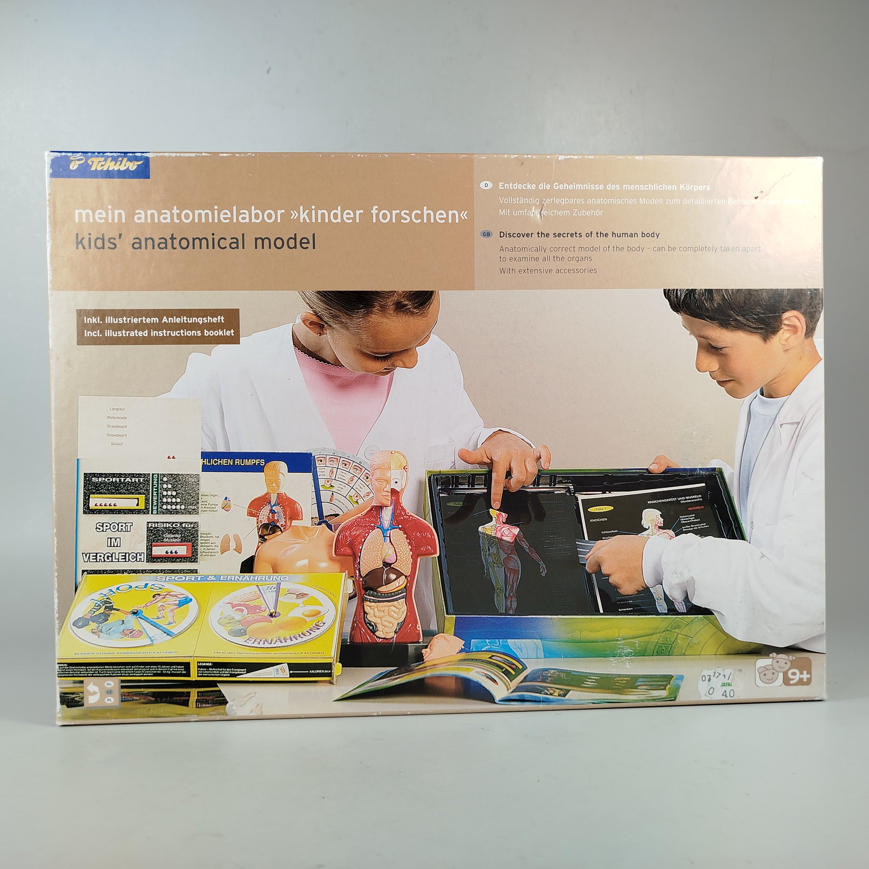 Walter Anatomiemodell für Kinder - Lernset ab 9+ Jahren